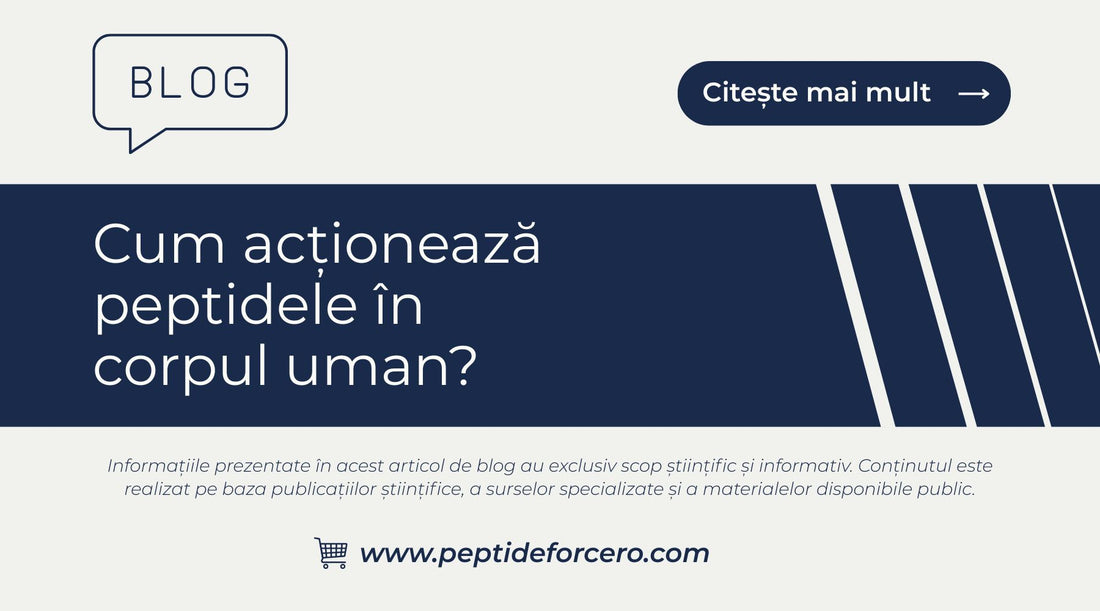actioneaza peptidele in corpul uman