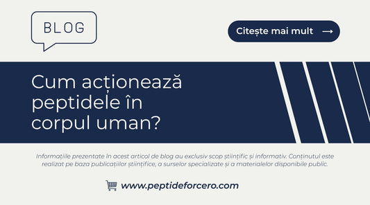 actioneaza peptidele in corpul uman